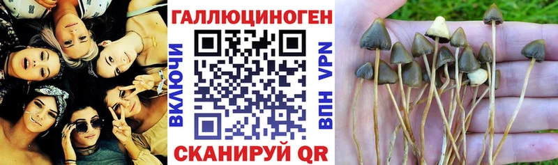 Купить где Никольское Галлюциногенные грибы ЛСД
